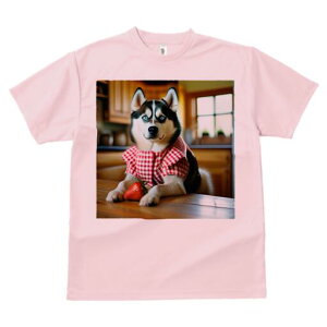 VxAnXL[ TVc  j[NfUCfB[X t@  t vg lJWA 킢 lԗp Mtg I ҏ΍  VxAnXL[ MK