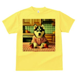 nXL[ TVc  j[NfUCfB[X t@  t vg lJWA 킢 lԗp Mtg I ҏ΍ C`S nXL[ `FbN