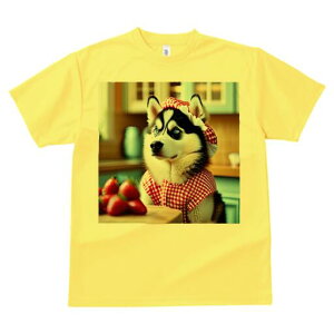 VxAnXL[ TVc  j[NfUCfB[X t@  t vg lJWA 킢 lԗp Mtg I ҏ΍ C`S VxAnXL[ Gv 