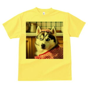 VxAnXL[ TVc  j[NfUCY LbY t@  t vg lJWA 킢 lԗp Mtg I ҏ΍ Gv VxAnXL[ `F