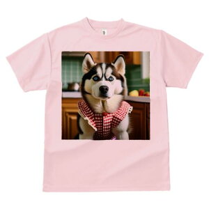 VxAnXL[ TVc  j[NfUCfB[X t@  t vg lJWA 킢 lԗp Mtg I ҏ΍  VxAnXL[ MK`