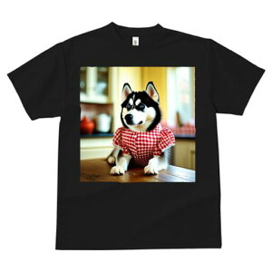 VxAnXL[ TVc  j[NfUCfB[X t@  t vg lJWA 킢 lԗp Mtg I ҏ΍  VxAnXL[ MK`