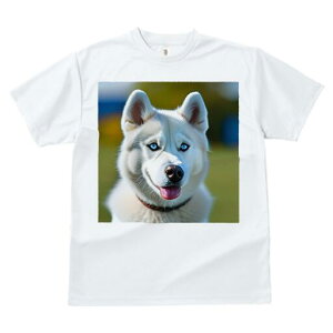 nXL[ TVc  j[NfUCfB[X t@  t vg lJWA 킢 lԗp Mtg I ҏ΍ wi nXL[