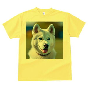 nXL[ TVc  j[NfUCfB[X t@  t vg lJWA 킢 lԗp Mtg I ҏ΍ wi nXL[