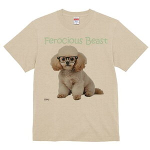 gCv[h TVc  j[NfUCfB[X t@  t vg lJWA 킢 lԗp Mtg I ҏ΍ Kl gCv[h