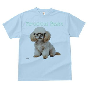 gCv[h TVc  j[NfUCY LbY t@  t vg lJWA 킢 lԗp Mtg I ҏ΍ Kl gCv[h