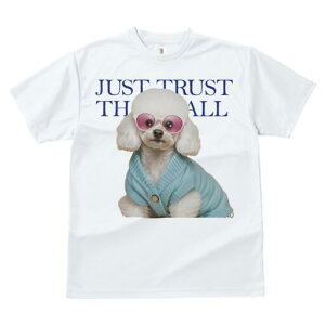 gCv[h TVc  j[NfUCfB[X t@  t vg lJWA 킢 lԗp Mtg I ҏ΍ TOX gCv[h Z[^[