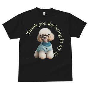 gCv[h TVc  j[NfUCfB[X t@  t vg lJWA 킢 lԗp Mtg I ҏ΍ Kl gCv[h 