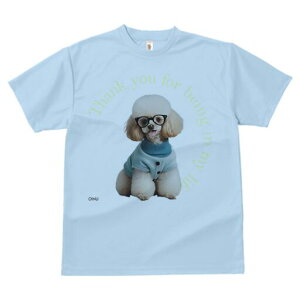 gCv[h TVc  j[NfUCfB[X t@  t vg lJWA 킢 lԗp Mtg I ҏ΍ Kl gCv[h 