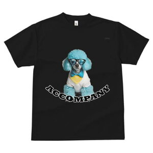 v[h TVc  j[NfUCfB[X t@  t vg lJWA 킢 lԗp Mtg I ҏ΍ Kl v[h 