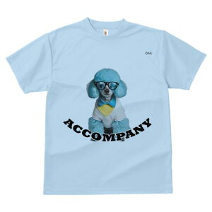 v[h TVc  j[NfUCY LbY t@  t vg lJWA 킢 lԗp Mtg I ҏ΍ Kl v[h 