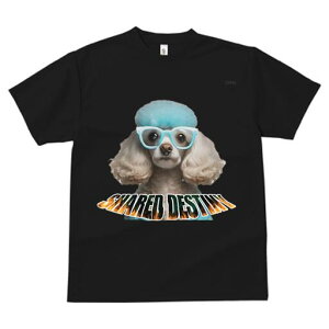 v[h TVc  j[NfUCfB[X t@  t vg lJWA 킢 lԗp Mtg I ҏ΍ Kl v[h