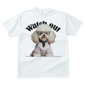 gCv[h TVc  j[NfUCfB[X t@  t vg lJWA 킢 lԗp Mtg I ҏ΍ Kl gCv[h X[c