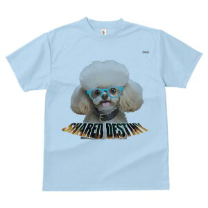 gCv[h TVc  j[NfUCfB[X t@  t vg lJWA 킢 lԗp Mtg I ҏ΍ Kl gCv[h