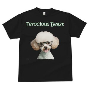 gCv[h TVc  j[NfUCY LbY t@  t vg lJWA 킢 lԗp Mtg I ҏ΍ Kl gCv[h