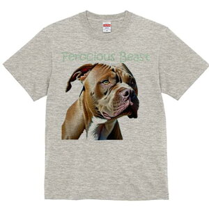 sbgu TVc  j[NfUCfB[X t@  t vg lJWA 킢 lԗp Mtg I ҏ΍ sbgu