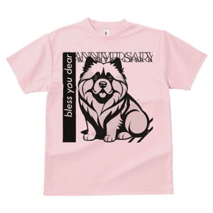 Hc TVc  j[NfUCfB[X t@  t vg lJWA 킢 lԗp Mtg I ҏ΍ Hc