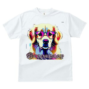 S[fgo[ TVc  j[NfUCfB[X t@  t vg lJWA 킢 lԗp Mtg I ҏ΍ Kl S[fgo[ |b