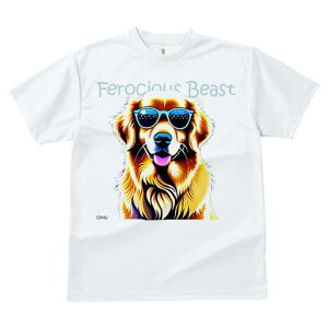 S[fgo[ TVc  j[NfUCfB[X t@  t vg lJWA 킢 lԗp Mtg I ҏ΍ TOX S[fgo[