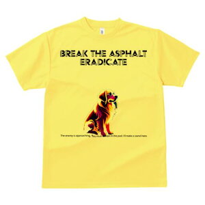 S[fgo[ TVc  j[NfUCfB[X t@  t vg lJWA 킢 lԗp Mtg I ҏ΍ S[fgo[