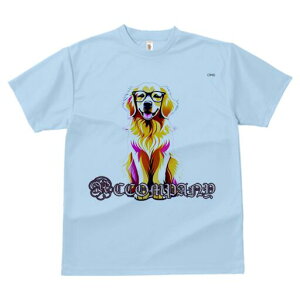 S[fgo[ TVc  j[NfUCfB[X t@  t vg lJWA 킢 lԗp Mtg I ҏ΍ Kl S[fgo[