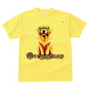 S[fgo[ TVc  j[NfUCfB[X t@  t vg lJWA 킢 lԗp Mtg I ҏ΍ Kl S[fgo[