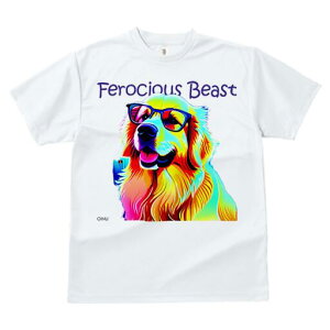 S[fgo[ TVc  j[NfUCfB[X t@  t vg lJWA 킢 lԗp Mtg I ҏ΍ Kl S[fgo[