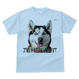 VxAnXL[ TVc  j[NfUCfB[X t@  t vg lJWA 킢 lԗp Mtg I ҏ΍ VxAnXL[