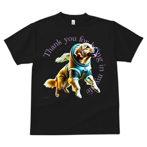 S[fgo[ TVc  j[NfUCfB[X t@  t vg lJWA 킢 lԗp Mtg I ҏ΍ F S[fgo[ Xy