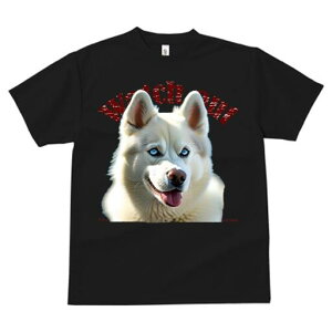 nXL[ TVc  j[NfUCfB[X t@  t vg lJWA 킢 lԗp Mtg I ҏ΍ nXL[