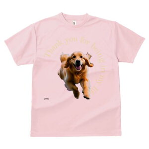 S[fgo[ TVc  j[NfUCfB[X t@  t vg lJWA 킢 lԗp Mtg I ҏ΍ S[fgo[