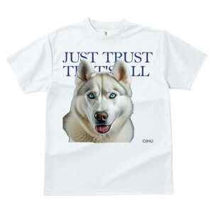 nXL[ TVc  j[NfUCfB[X t@  t vg lJWA 킢 lԗp Mtg I ҏ΍ nXL[