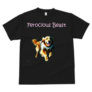 S[fgo[ TVc  j[NfUCfB[X t@  t vg lJWA 킢 lԗp Mtg I ҏ΍ F S[fgo[