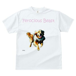 S[fgo[ TVc  j[NfUCfB[X t@  t vg lJWA 킢 lԗp Mtg I ҏ΍ F S[fgo[