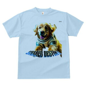 S[fgo[ TVc  j[NfUCfB[X t@  t vg lJWA 킢 lԗp Mtg I ҏ΍ F S[fgo[