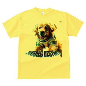 S[fgo[ TVc  j[NfUCfB[X t@  t vg lJWA 킢 lԗp Mtg I ҏ΍ F S[fgo[