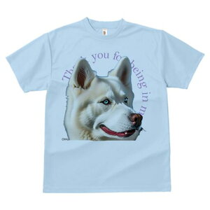 nXL[ TVc  j[NfUCfB[X t@  t vg lJWA 킢 lԗp Mtg I ҏ΍ nXL[