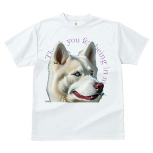 nXL[ TVc  j[NfUCfB[X t@  t vg lJWA 킢 lԗp Mtg I ҏ΍ nXL[