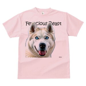 nXL[ TVc  j[NfUCfB[X t@  t vg lJWA 킢 lԗp Mtg I ҏ΍ nXL[