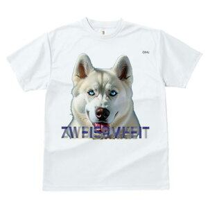 nXL[ TVc  j[NfUCfB[X t@  t vg lJWA 킢 lԗp Mtg I ҏ΍ nXL[