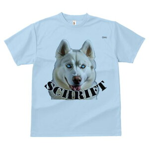 VxAnXL[ TVc  j[NfUCfB[X t@  t vg lJWA 킢 lԗp Mtg I ҏ΍ VxAnXL[