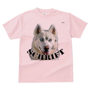 VxAnXL[ TVc  j[NfUCfB[X t@  t vg lJWA 킢 lԗp Mtg I ҏ΍ VxAnXL[