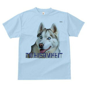 VxAnXL[ TVc  j[NfUCfB[X t@  t vg lJWA 킢 lԗp Mtg I ҏ΍ VxAnXL[