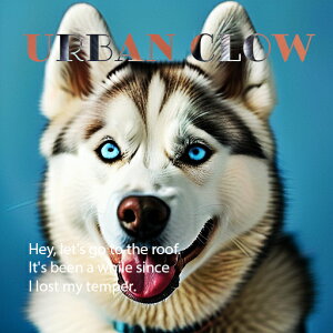  VxAnXL[ 킢 N[  NbVJo[ 45×45cm Aj}  NbV{̕t `