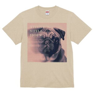 pO TVc  j[NfUCfB[X t@  t vg lJWA 킢 lԗp Mtg I ҏ΍ pO