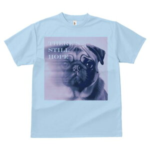 pO TVc  j[NfUCfB[X t@  t vg lJWA 킢 lԗp Mtg I ҏ΍ pO