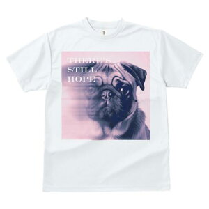 pO TVc  j[NfUCfB[X t@  t vg lJWA 킢 lԗp Mtg I ҏ΍ pO