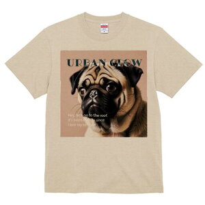 pO TVc  j[NfUCfB[X t@  t vg lJWA 킢 lԗp Mtg I ҏ΍ TVc pO 킢  fUC