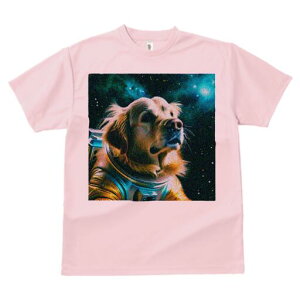 S[fgo[ TVc  j[NfUCfB[X t@  t vg lJWA 킢 lԗp Mtg I ҏ΍ F S[fgo[ F