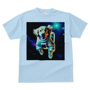 S[fgo[ TVc  j[NfUCfB[X t@  t vg lJWA 킢 lԗp Mtg I ҏ΍ F S[fgo[ F 